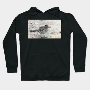 Great Roadrunner takes a Brief Pause Hoodie